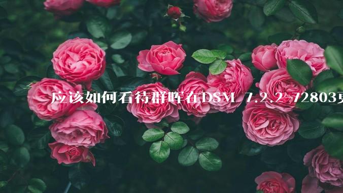 应该如何看待群晖在DSM 7.2.2-72803更新中去掉了Video Station?